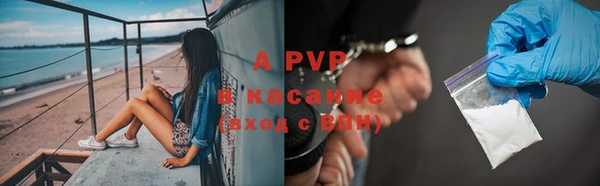 ПСИЛОЦИБИНОВЫЕ ГРИБЫ Абаза