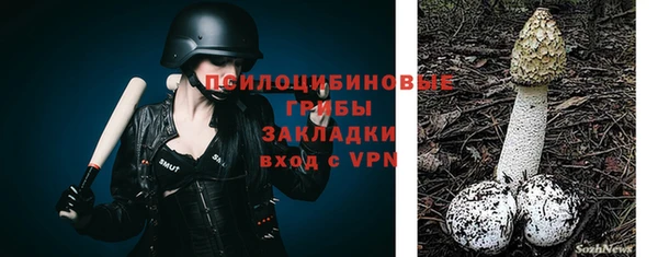 ПСИЛОЦИБИНОВЫЕ ГРИБЫ Абаза